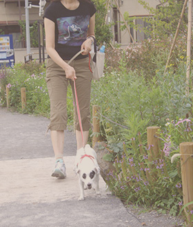 写真：タカコナカムラ