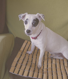 写真：タカコナカムラ